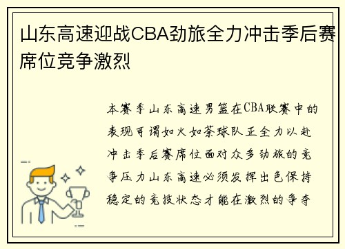 山东高速迎战CBA劲旅全力冲击季后赛席位竞争激烈